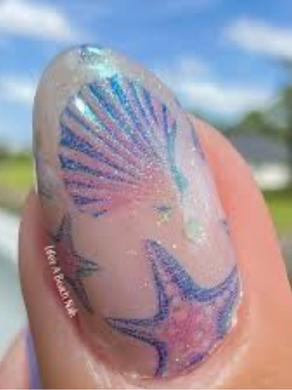 Color Street Sea Charms Accent Nails